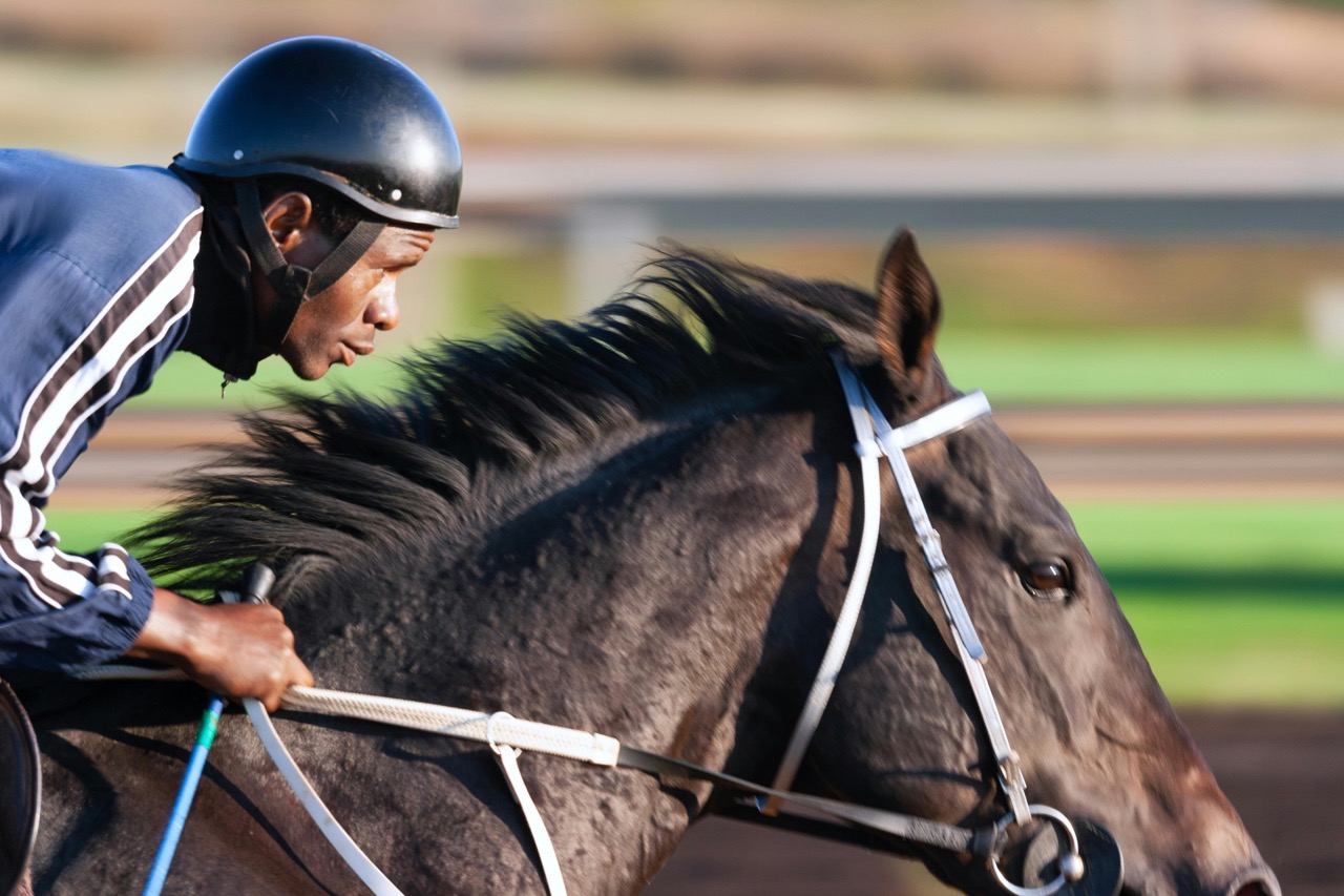 Horatios Garden Raceday